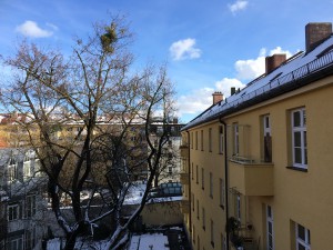 2015-01-31 13.33.45